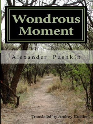 cover image of Wondrous Moment